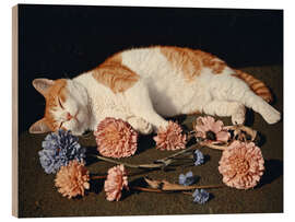 Holzbild Blütenblattrest - DejaReve