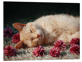 Acrylglasbild Love Falls Asleep Here - DejaReve