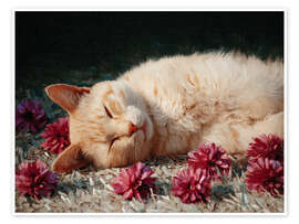 Poster Love Falls Asleep Here - DejaReve