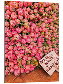 Alubild 1000 Tulpen - Ohkimiko