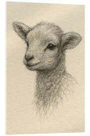 Acrylglasbild Babylamm - Natalie Bruns