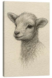 Leinwandbild Babylamm - Natalie Bruns