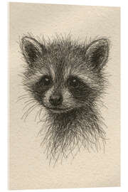 Acrylglasbild Niedlicher Baby-Waschbär - Natalie Bruns