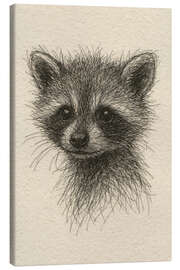 Leinwandbild Niedlicher Baby-Waschbär - Natalie Bruns