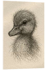 Acrylglasbild Babyente - Natalie Bruns