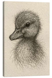 Canvas print Baby duck - Natalie Bruns