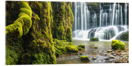 Acrylglasbild Moos am Geraster Wasserfall - Denis Feiner