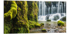 Alubild Moos am Geraster Wasserfall - Denis Feiner