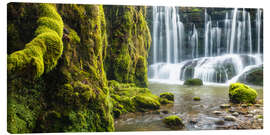 Leinwandbild Moos am Geraster Wasserfall - Denis Feiner