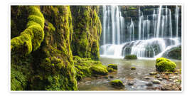Poster Moos am Geraster Wasserfall - Denis Feiner
