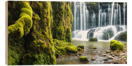 Holzbild Moos am Geraster Wasserfall - Denis Feiner