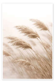 Poster Flüstern der Natur - Annika Persson