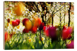Holzbild Tulpen im Frühlingsgarten - Lichtspielart