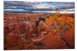 Acrylic print Autumn at Bryce Canyon National Park, USA - Martin Podt