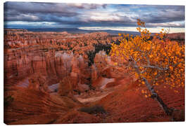 Leinwandbild Herbst im Bryce Canyon Nationalpark, USA - Martin Podt
