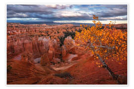 Wandbild Herbst im Bryce Canyon Nationalpark, USA - Martin Podt