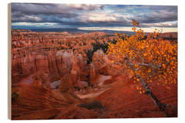 Holzbild Herbst im Bryce Canyon Nationalpark, USA - Martin Podt