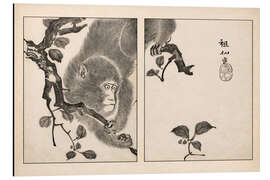 Aluminium print Meika Gafu Monkey - Mori Sosen