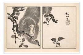 Plakat Meika Gafu Monkey - Mori Sosen