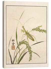 Leinwandbild Meika Gafu - Mantis