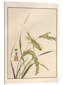 Galleritryck Meika Gafu - Mantis