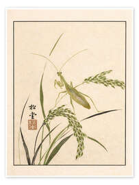 Wandbild Meika Gafu - Mantis