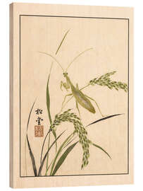 Holzbild Meika Gafu - Mantis