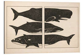 Print på aluminium Jokō Roku - Whales