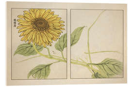 Acrylglasbild Kihō Gafu - Sunflower