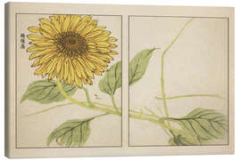 Leinwandbild Kihō Gafu - Sunflower