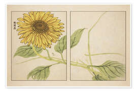 Wandbild Kihō Gafu - Sunflower