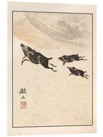 Acrylglasbild Meika Gafu - Wild Boars