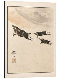 Print på aluminium Meika Gafu - Wild Boars