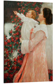 Tableau en aluminium Time of Roses - Wilhelm List