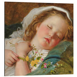 Aluminium print Fast Asleep