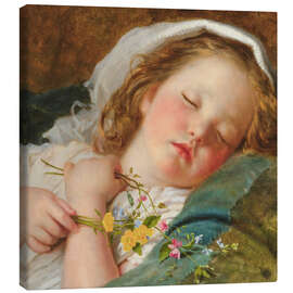 Lærredsbillede Fast Asleep