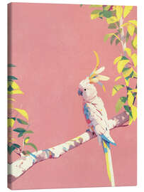 Leinwandbild Exotischer Kakadu Sunny - Carina Artspace