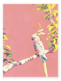 Wandbild Exotischer Kakadu Sunny - Carina Artspace