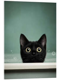 Acrylglasbild Purrfect Bath - DejaReve