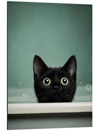 Alubild Purrfect Bath - DejaReve