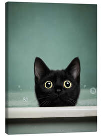 Leinwandbild Purrfect Bath - DejaReve