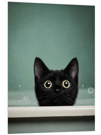 Hartschaumbild Purrfect Bath - DejaReve