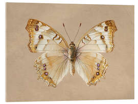 Acrylglasbild Vintage Engel-Schmetterling - TAlex