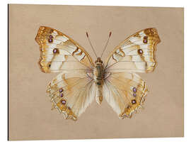 Print på aluminium Vintage Angel Butterfly - TAlex