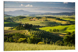 Aluminium print Belvedere - Rainer Mirau