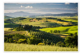Wandbild Belvedere - Rainer Mirau