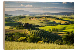 Holzbild Belvedere - Rainer Mirau
