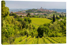 Leinwandbild Montepulciano - Rainer Mirau