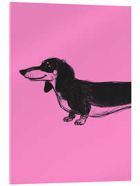 Acrylglasbild Dachshund I - Andreas Magnusson