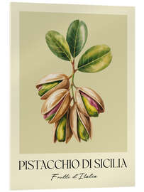 Acrylglasbild Pistacchio di Sicilia - Frutti d'Italia - Andreas Magnusson